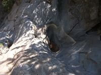 rrente Quarantore-20110911 048
